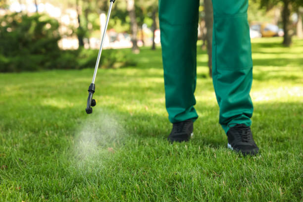 Best Pest Control for Restaurants  in Centerville, MN