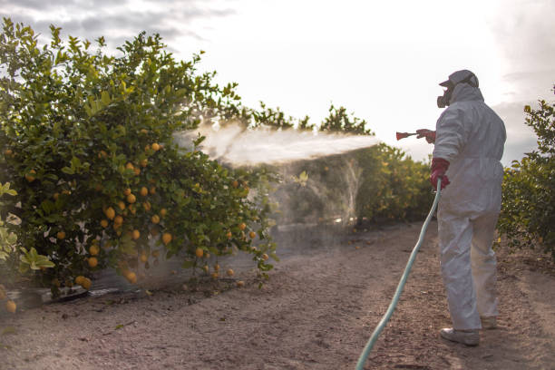 Wildlife Control Services in Centerville, MN