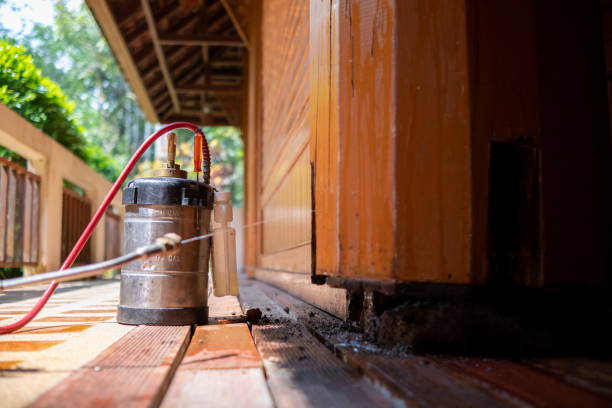 Best Termite Control Services  in Centerville, MN