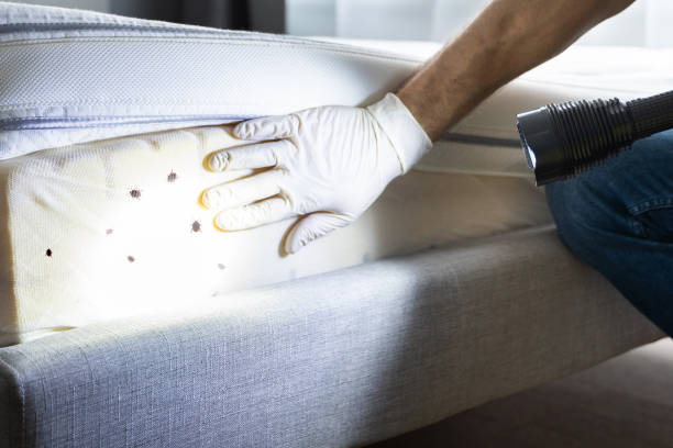 Best Pest Prevention Services  in Centerville, MN