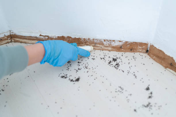 Best Bed Bug Extermination  in Centerville, MN